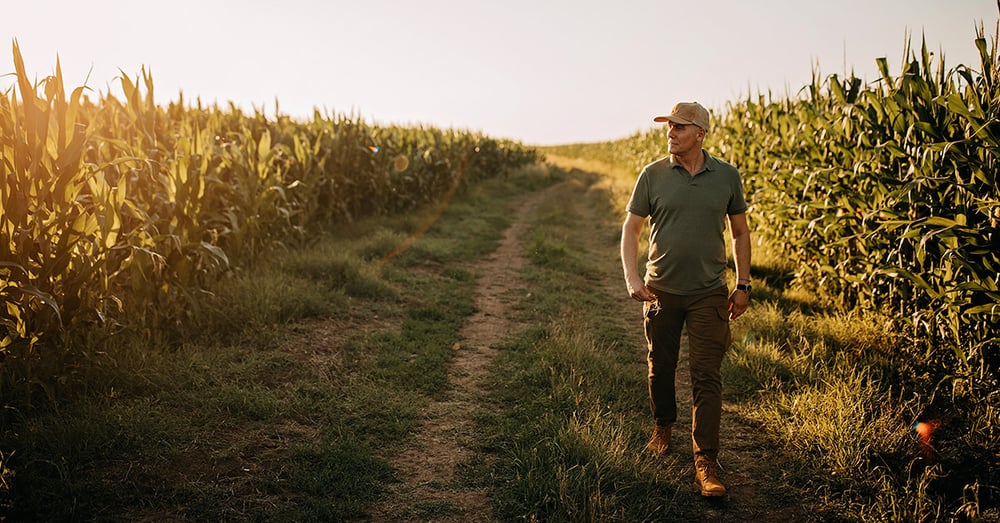 Farmer walking through corn field, header