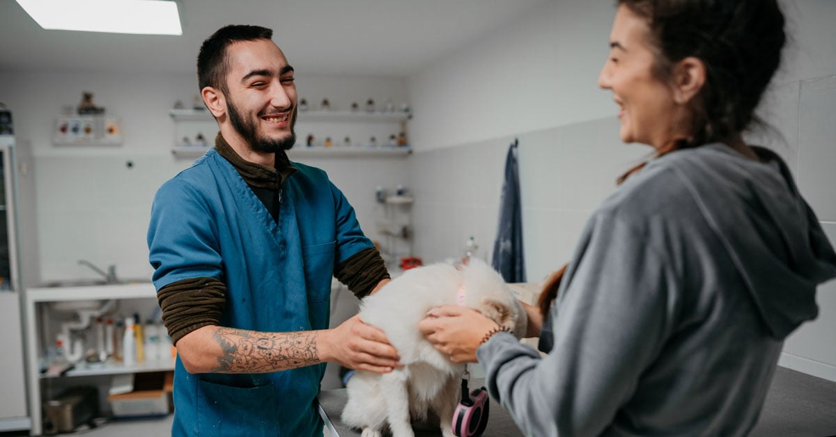 Veterinarian business owner with a patient 