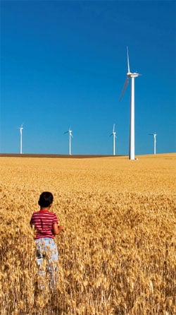 Indian renewable energy