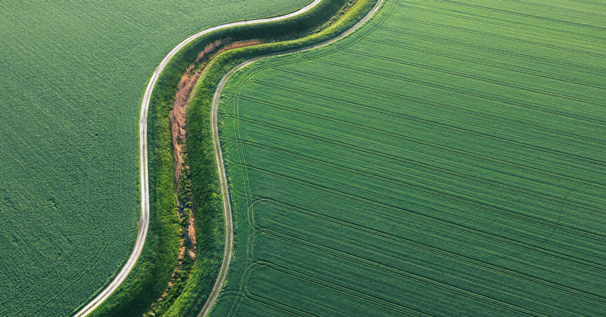 Aerial view of rural development