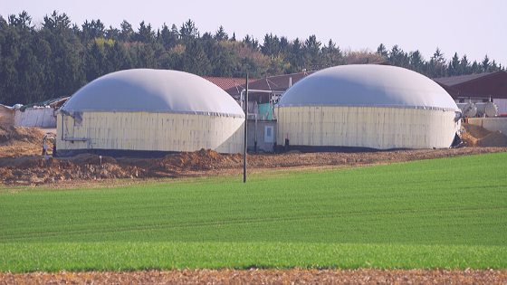 Dairy Farmers Continue To Adapt To Renewable Energy