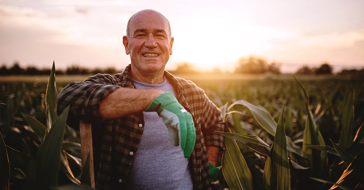 Agricultural worker standing in a field