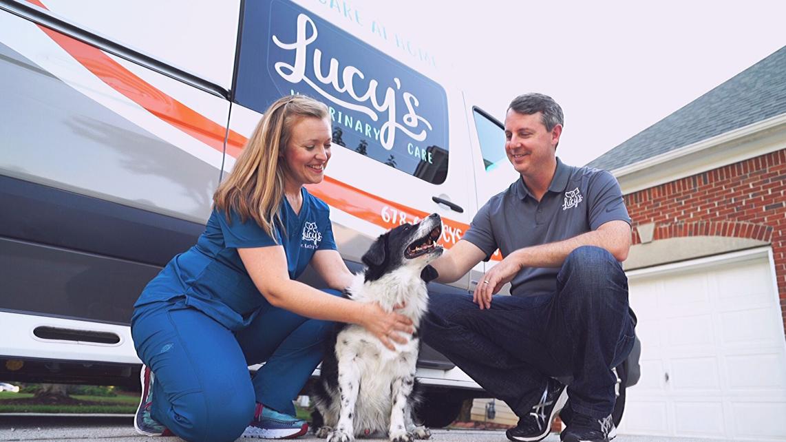 Mobile Veterinarian Teams Up With Stearns Bank For Equipment Financing